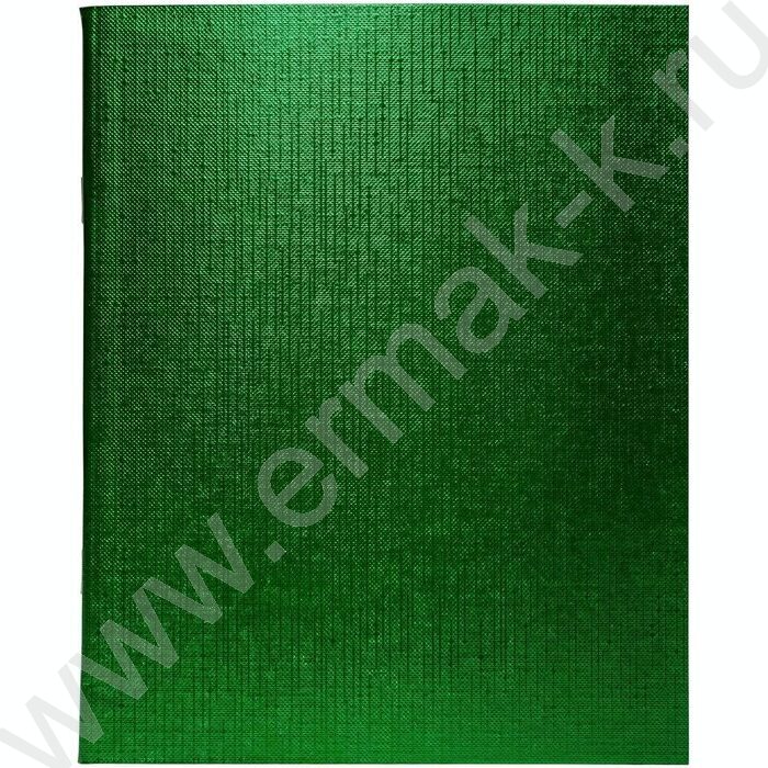 Тетрадь  96л клетка "Бум/винил" METALLIC зелёная | Фото 1