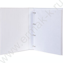 Тетрадь  80л А4 клетка/кольца /глянц.лам/  "NEWtone NEON Оранж" | Фото 2