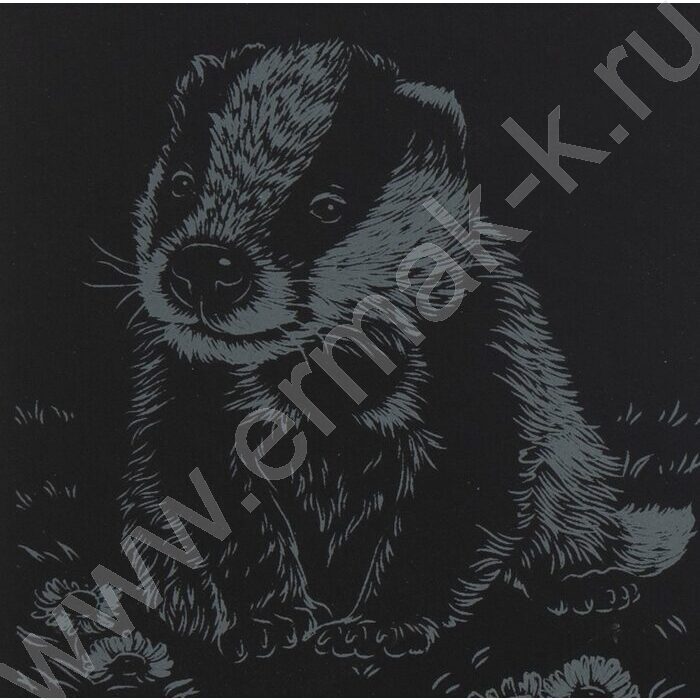 Набор д/творчества Гравюра малая серебро Детёныши Барсучок | Фото 5