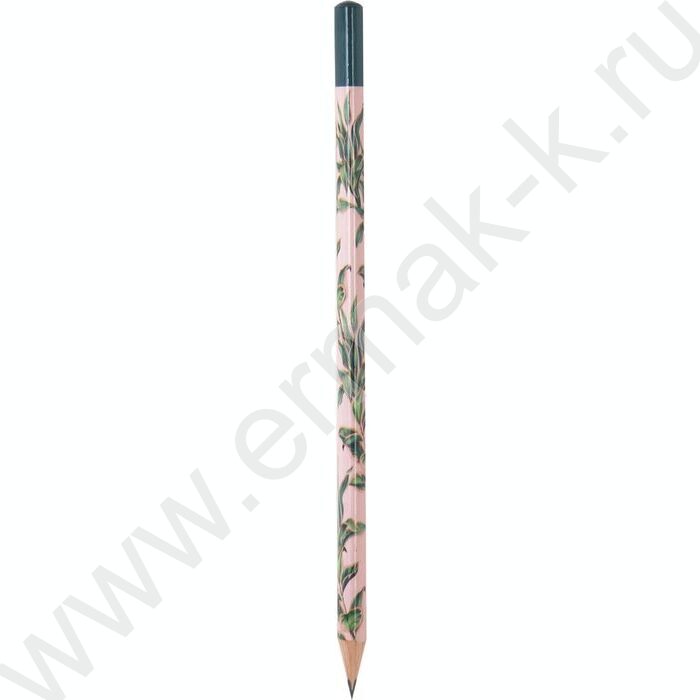 Карандаш ч/гр HB Ergo First Floral /трехгранный /заточенный | Фото 1