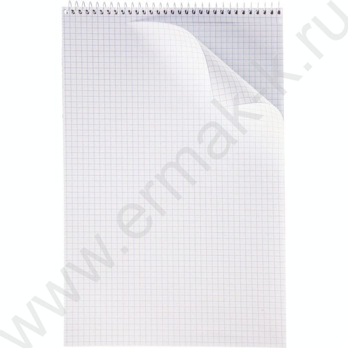 Блокнот  80л А4 спираль "Россия" | Фото 2