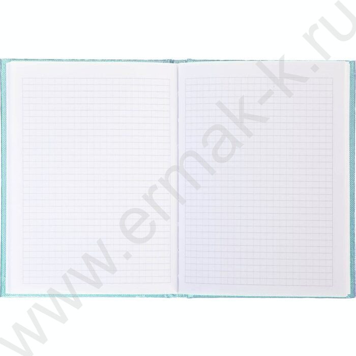 Зап. книжка  64л А6 тв.обл./клетка/линия Бумвинил METALLIC Мята | Фото 2