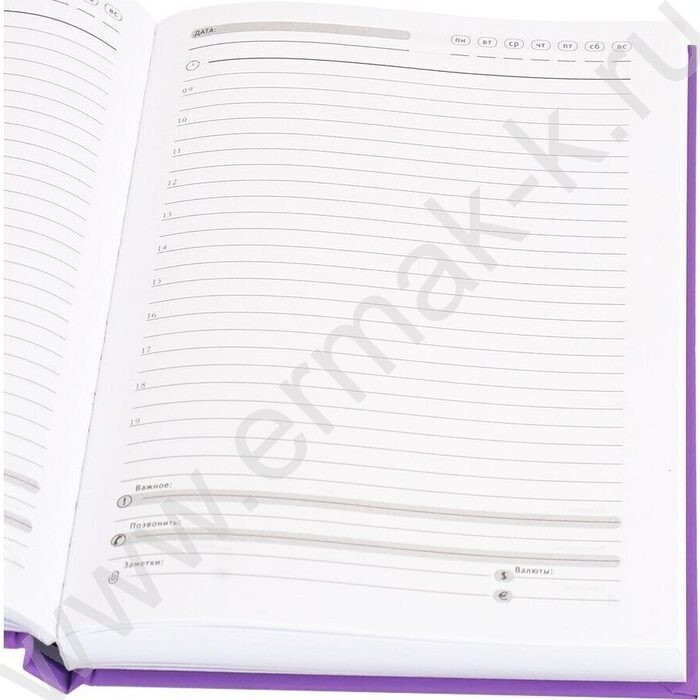 Ежедневник н/дат А5 128л Клёвый медведь /тв.обл.,софт-тач, ламин, флуор.,/ | Фото 3