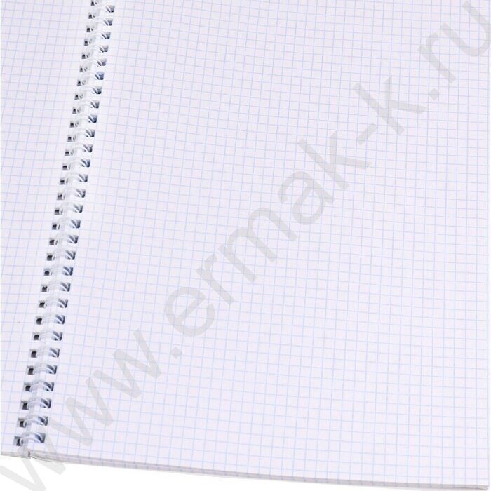 Тетрадь  96л А4 клетка/спираль "Цветочный орнамент-9" ассорти | Фото 2