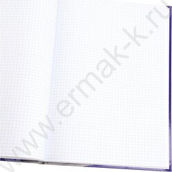 Книга Учёта  80л клетка тв.обл.офсет "Символика России-4" глянц.лам. | Фото 3