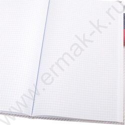 Книга Учёта  96л клетка тв.обл.офсет "Символика России-3" глянц.лам. | Фото 3