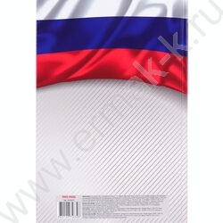 Книга Учёта  96л клетка тв.обл.офсет "Символика России-3" глянц.лам. | Фото 4