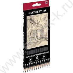 Карандаш ч/гр /набор 12шт/ "Art" шестигранные /5Т, 4Т, 3Т, 2Т, Т, ТМ-2, М, 2М, 3М, 4М, 5М | Фото 1