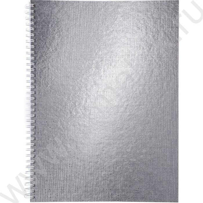 Тетрадь  96л А4 клетка/спираль "Бум/винил" METALLIC серебро | Фото 1