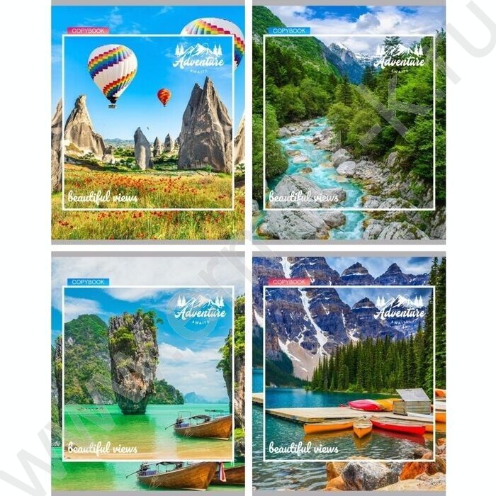 Тетрадь  80л клетка "Вдохновляющие виды" ассорти | Фото 1