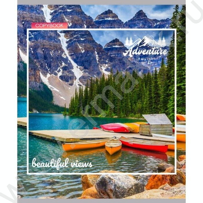 Тетрадь  80л клетка "Вдохновляющие виды" ассорти | Фото 4