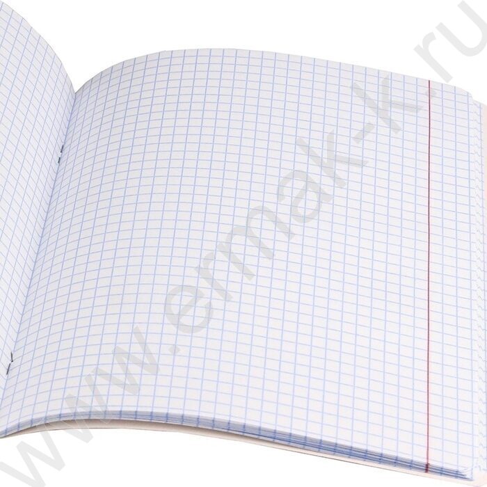 Тетрадь  80л клетка "Вдохновляющие виды" ассорти | Фото 6