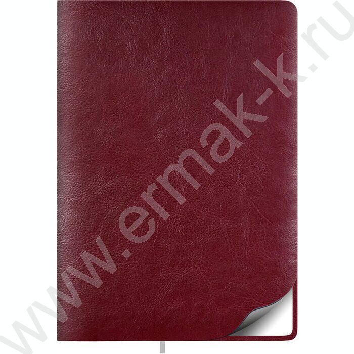Ежедневник н/дат А5 128л Sigma FLEX бордовый /закругл.углы /карта мира | Фото 1