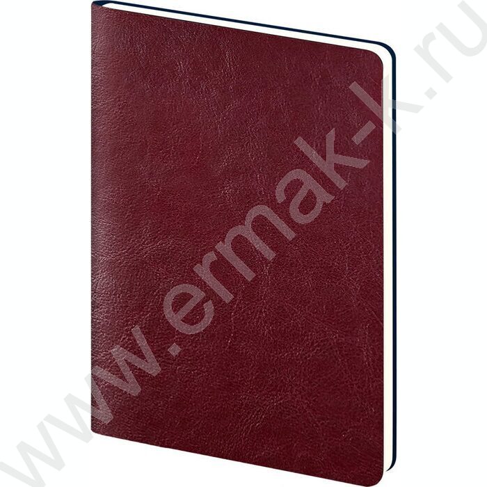 Ежедневник н/дат А5 128л Sigma FLEX бордовый /закругл.углы /карта мира | Фото 2