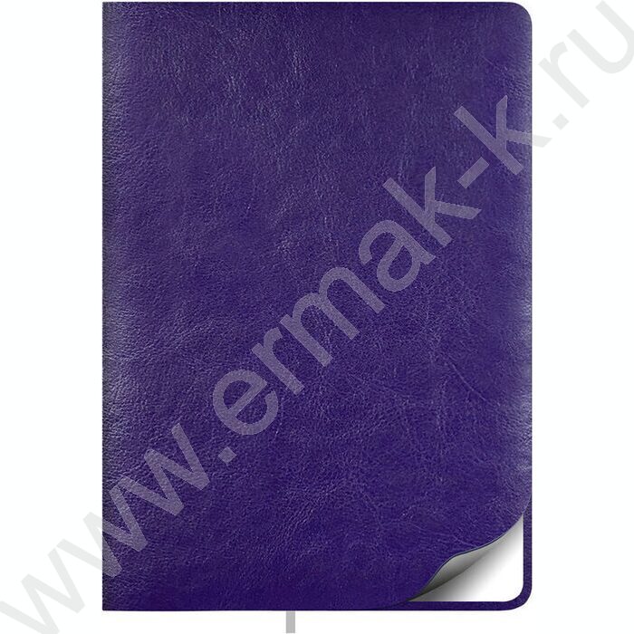Ежедневник н/дат А5 128л Sigma FLEX фиолетовый /закругл.углы /карта мира | Фото 1