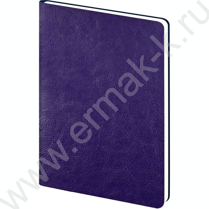 Ежедневник н/дат А5 128л Sigma FLEX фиолетовый /закругл.углы /карта мира | Фото 2