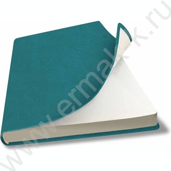 Ежедневник н/дат А5 128л Sigma FLEX бирюзовый /закругл.углы /карта мира | Фото 1