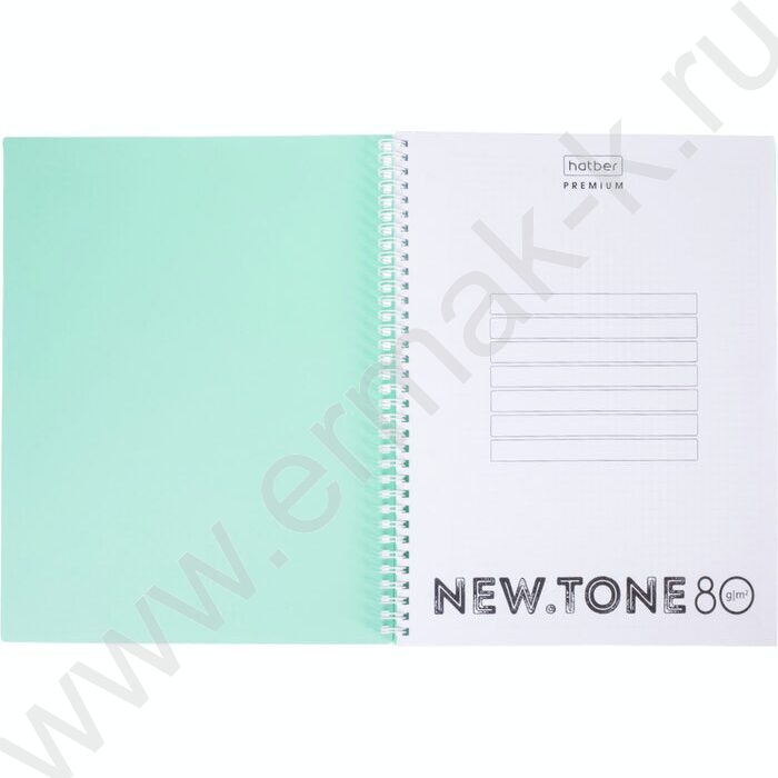 Тетрадь  80л А4 клетка/спираль/многоуров.перфорация/пл.обл. "NEWtone PASTEL Мята" | Фото 2