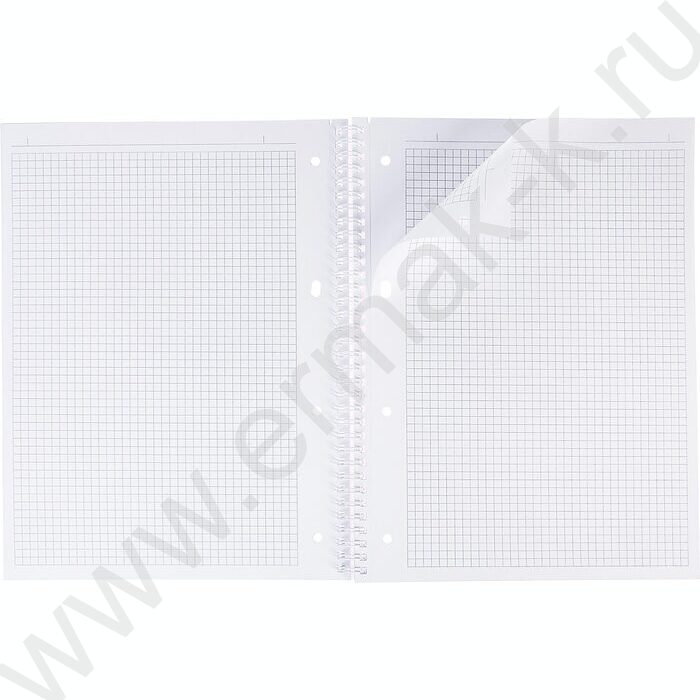 Тетрадь  80л А4 клетка/спираль/многоуров.перфорация/пл.обл. "NEWtone PASTEL Незабудка" | Фото 3