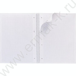 Тетрадь  80л А4 клетка/спираль/многоуров.перфорация "NEWtone PASTEL Олива" | Фото 2