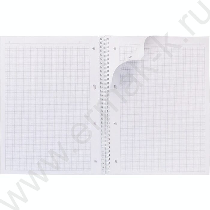 Тетрадь  80л А4 клетка/спираль/многоуров.перфорация "NEWtone PASTEL Серый жемчуг" | Фото 2