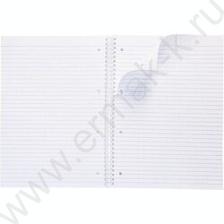 Тетрадь  80л А4 линейка/спираль/многоуров.перфорация "NEWtone PASTEL Олива" | Фото 2