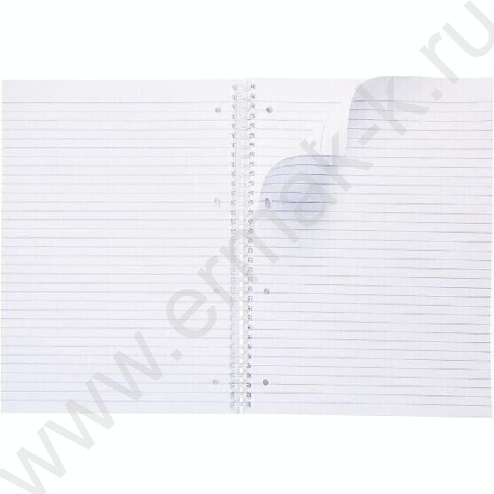 Тетрадь  80л А4 линейка/спираль/многоуров.перфорация "NEWtone PASTEL Олива" | Фото 2