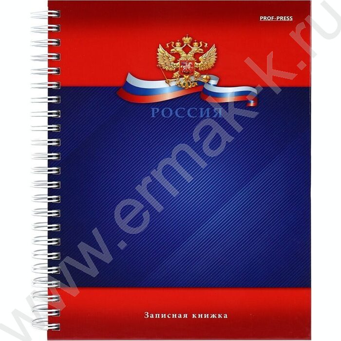 Зап. книжка 120л А5 тв.обл.,спираль "Символика России-5" /глянец/ | Фото 1