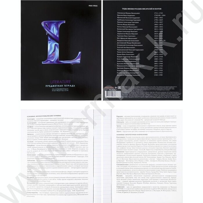 Тетрадь предметная 48л Набор 12шт "Графема" /твин-лак/ | Фото 6