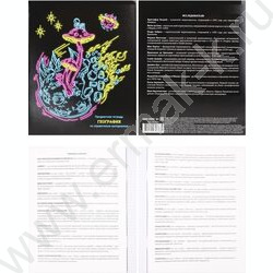 Тетрадь предметная 48л Набор 12шт "Neon" /твин-лак,неон/ | Фото 2