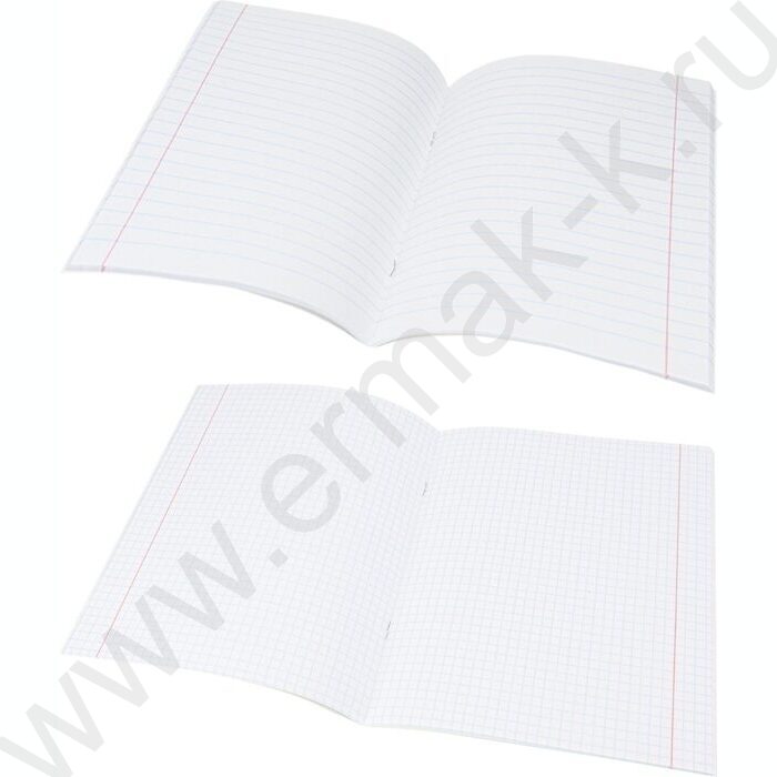 Тетрадь предметная 48л Набор 12шт "Neon" /твин-лак,неон/ | Фото 8