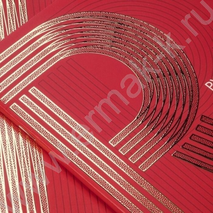 Тетрадь предметная 48л Набор 10шт "Золото на красном" /мат.ламин. 3D фольга/ | Фото 3