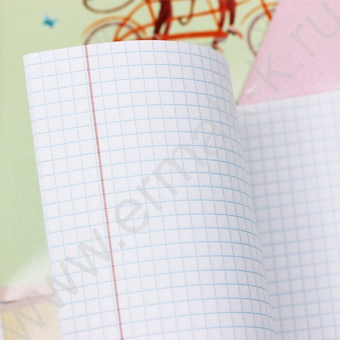 Тетрадь  12л клетка "Кататься!" 5видов | Фото 6