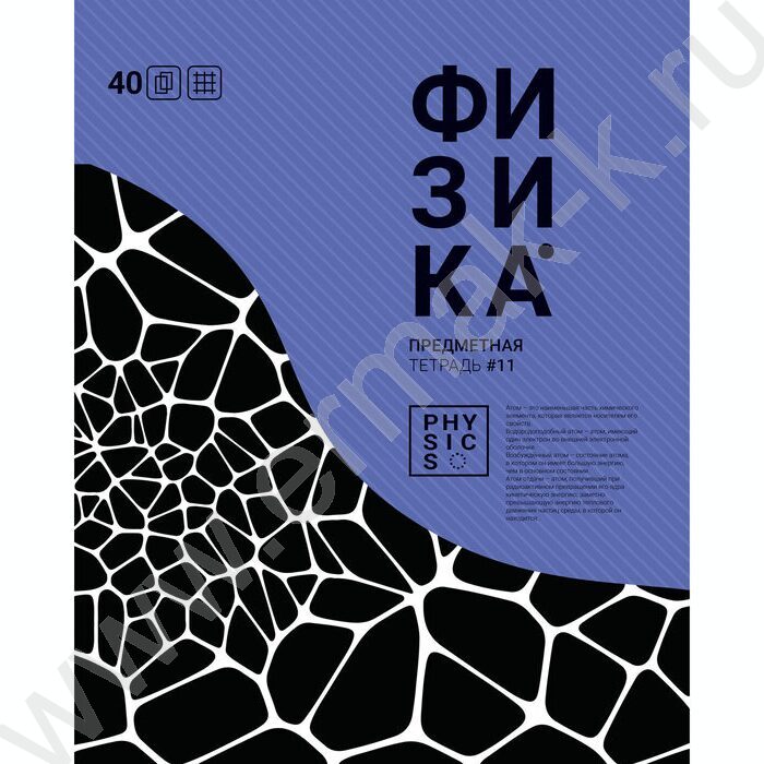 Тетрадь предметная 40л "Волна" Физика (блок эконом) | Фото 1