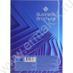 Зап. книжка  80л А6 тв.обл. "Бизнес-классика" /глянец/лен/ | Фото 4