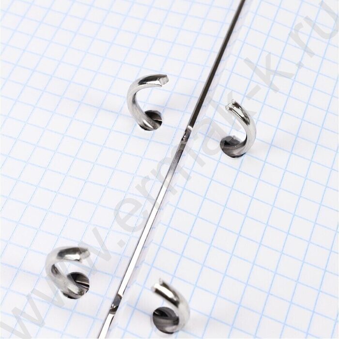 Тетрадь  80л клетка/кольца "Кеды и цветы" /лянец/лен/ | Фото 5