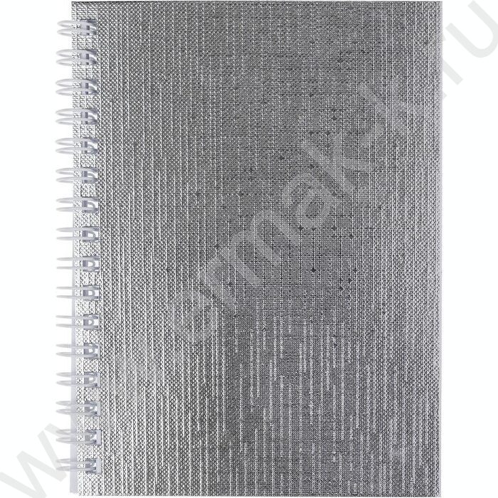 Зап. книжка  80л А6 спираль/бумвинил Metallic Серебро | Фото 1