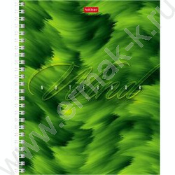 Тетрадь  80л клетка/спираль "Ветер" ассорти | Фото 3