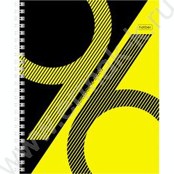 Тетрадь  96л линейка/спираль "Отражение" ассорти | Фото 4