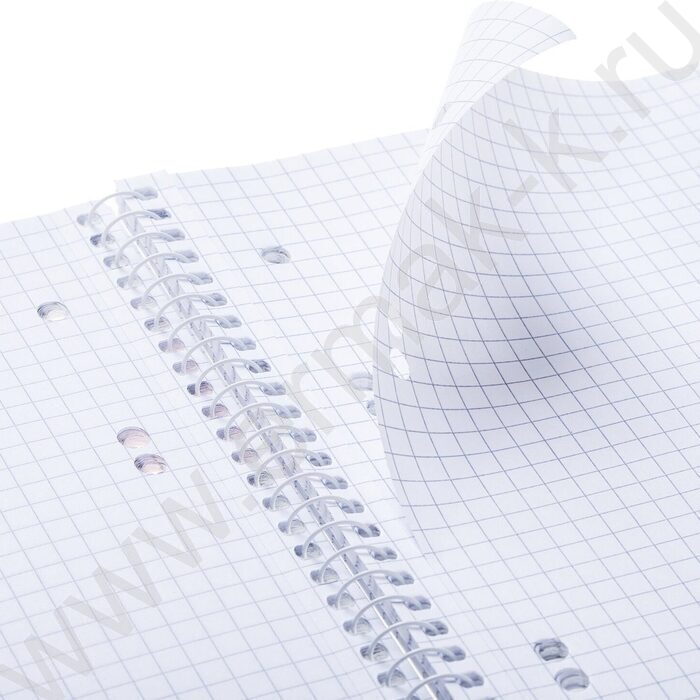 Сменный блок А5  80л спираль/универсальная перфорация | Фото 2