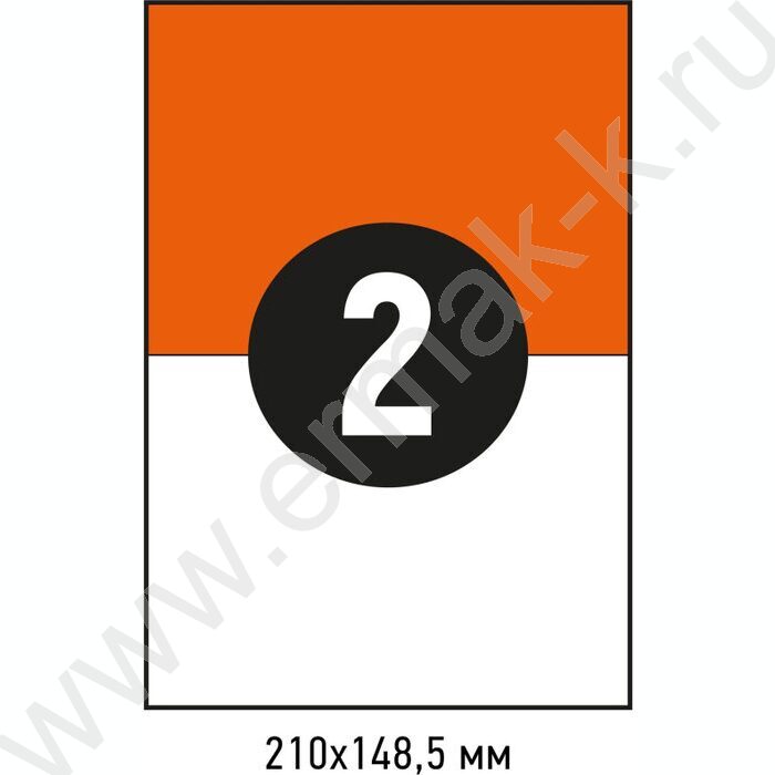 Этикетки самокл А4 210*148мм /100л*2шт | Фото 5