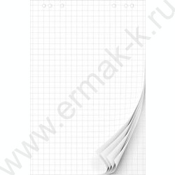 Блок д/флипчарта 67,5x96,5cм 20л клетка | Фото 1