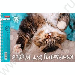 Альбом д/рисования-спираль 24л "Кот Борис" /перфорация / 5видов | Фото 1