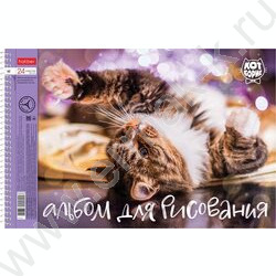Альбом д/рисования-спираль 24л "Кот Борис" /перфорация / 5видов | Фото 2