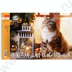 Альбом д/рисования-спираль 24л "Кот Борис" /перфорация / 5видов | Фото 5