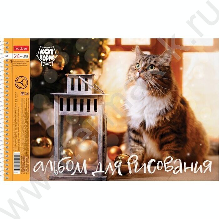 Альбом д/рисования-спираль 24л "Кот Борис" /перфорация / 5видов | Фото 5