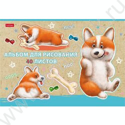 Альбом д/рисования 40л "Рыжий Коржик" /матов.ламин/ 5видов | Фото 5
