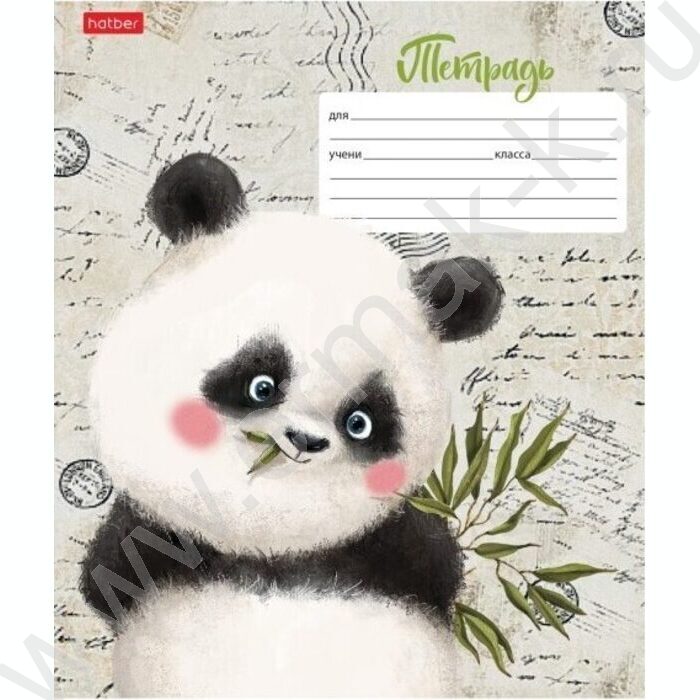 Тетрадь  12л линейка косая с доп.горизонтальной "Зоозаврики" 5видов | Фото 1