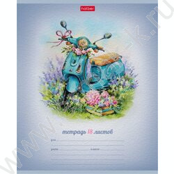 Тетрадь  18л клетка "Навстречу лету!" /тиснение/ 5видов | Фото 5