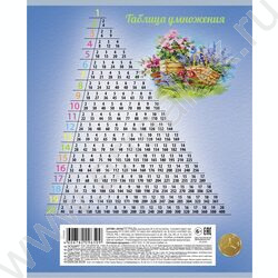 Тетрадь  18л клетка "Навстречу лету!" /тиснение/ 5видов | Фото 6